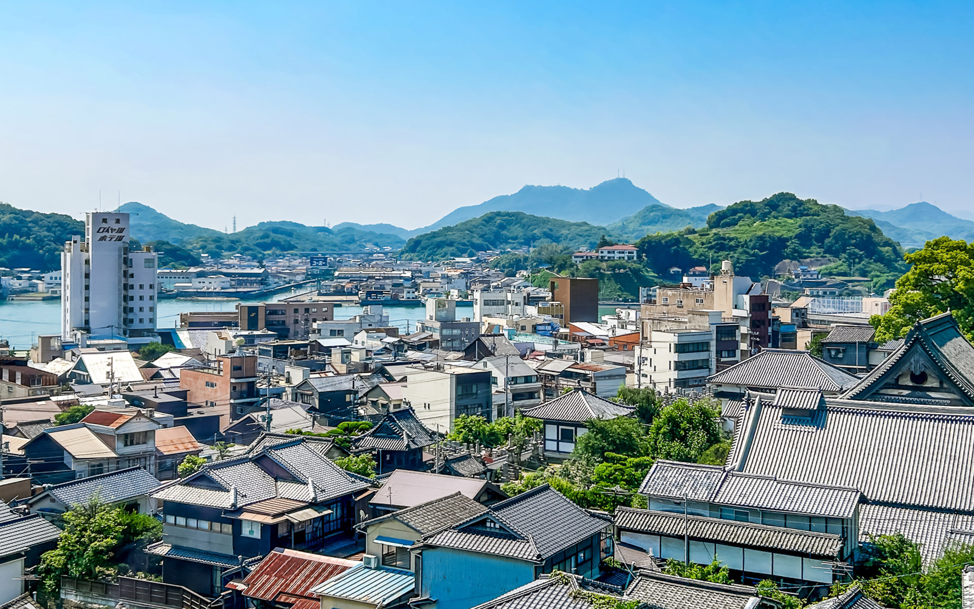 地域密着